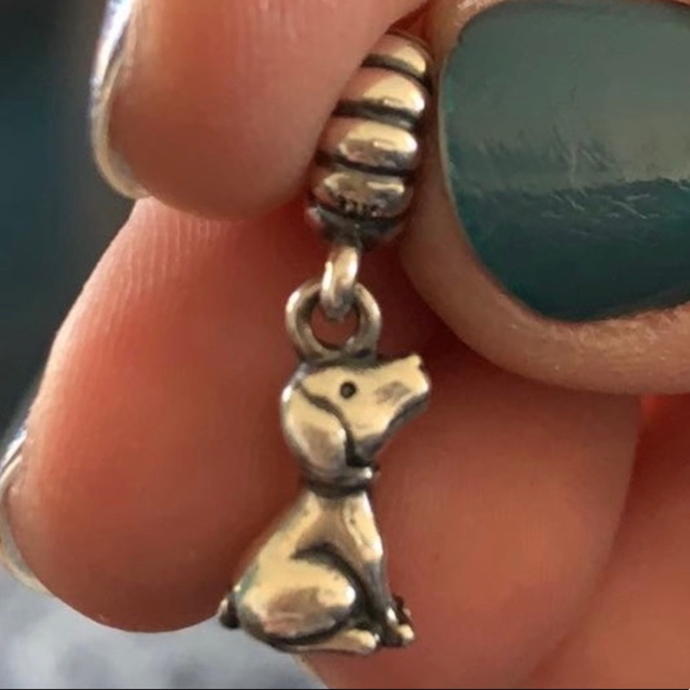 Pandora Charm